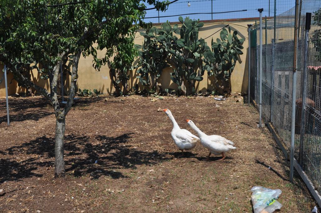 Bed & Breakfast Giardini Di Marzo Lecce Zewnętrze zdjęcie
